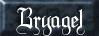 Bryagel