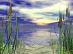 Morning at the Shore