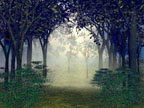 Morning Light Mist