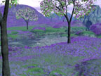Plains of Greater Fyngel