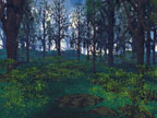 Kenda Forest