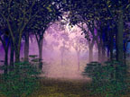 Lavender Mist