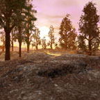 Winter Sunrise Kenda